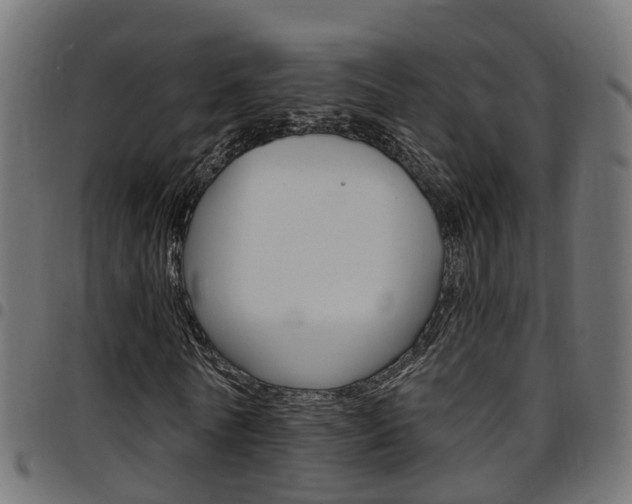 X0000097750770200803070841