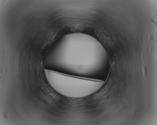 X0000097750772200803070841