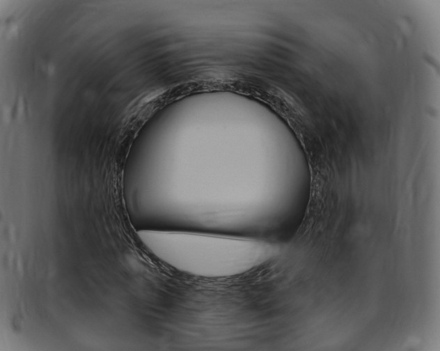 X0000097750773200803070841