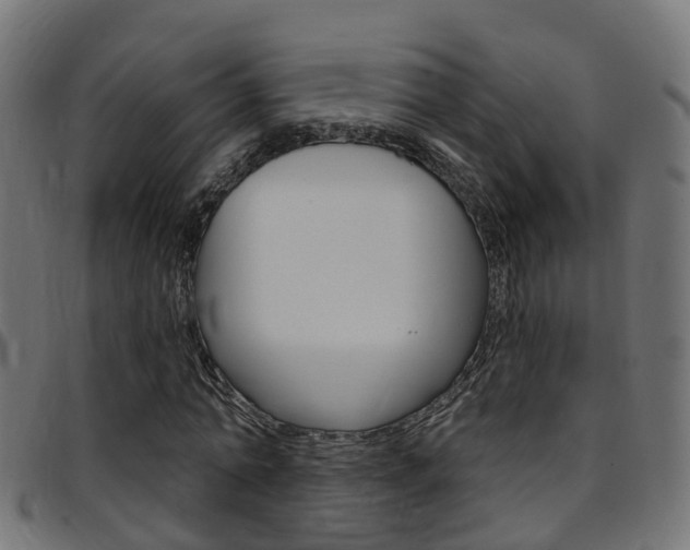 X0000097750774200803070841