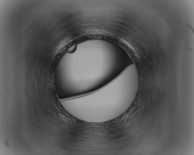 X0000097750775200803070841