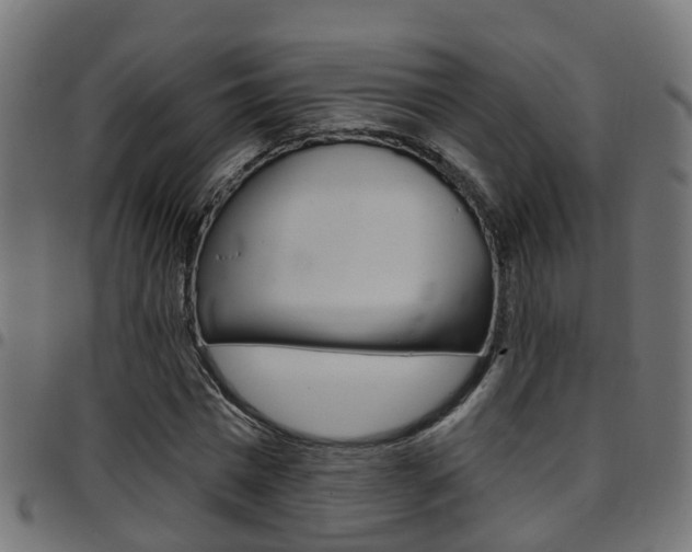 X0000097750777200803070841