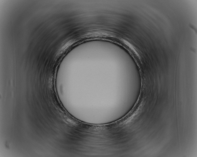 X0000097750778200803070841