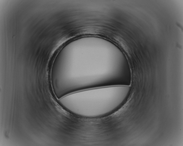 X0000097750779200803070841