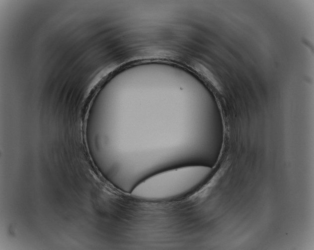X0000097750781200803070841