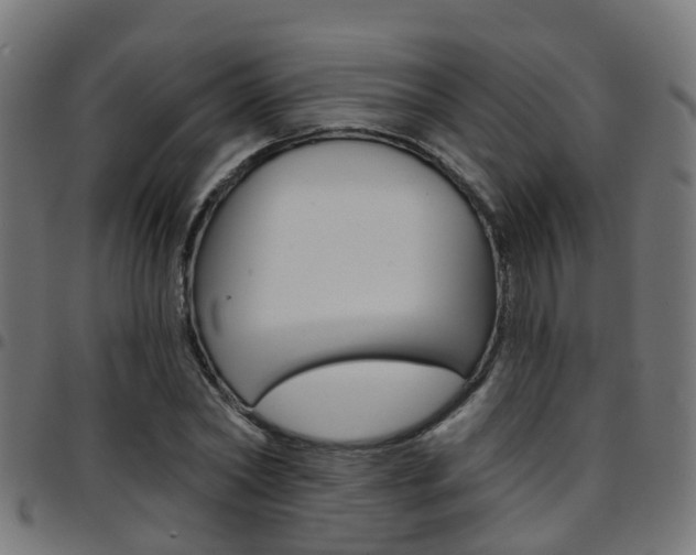 X0000097750782200803070841