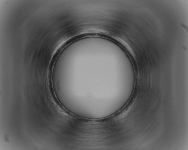X0000097750783200803070841