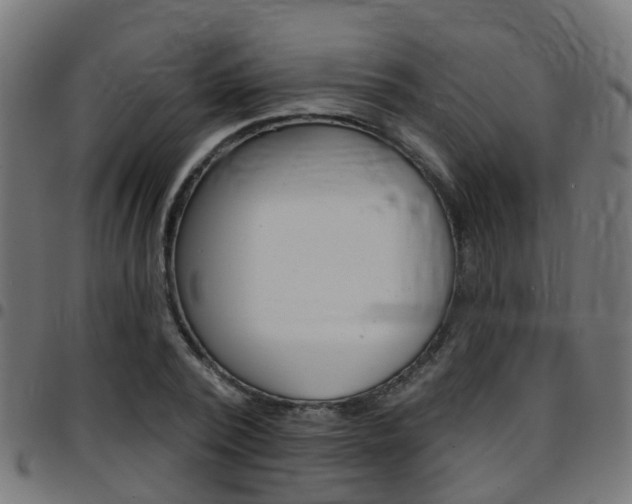 X0000097750784200803070841