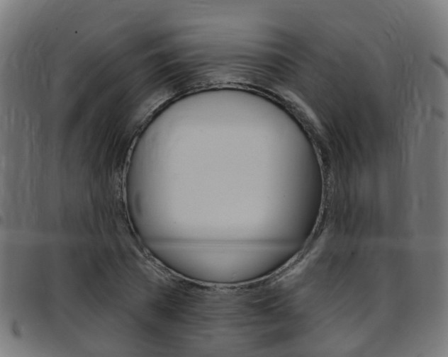 X0000097750785200803070841