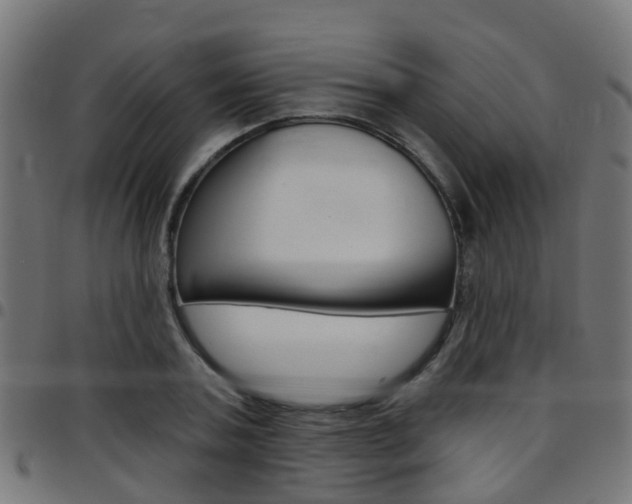 X0000097750787200803070841