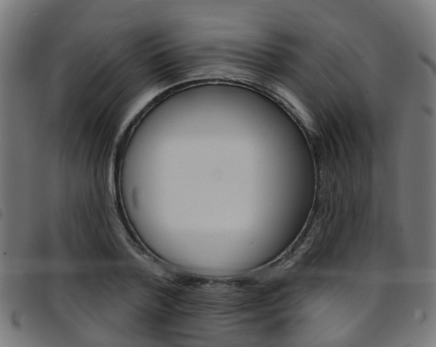 X0000097750788200803070841