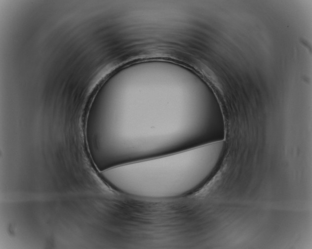 X0000097750789200803070841