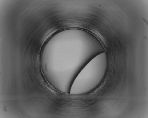 X0000097750790200803070841