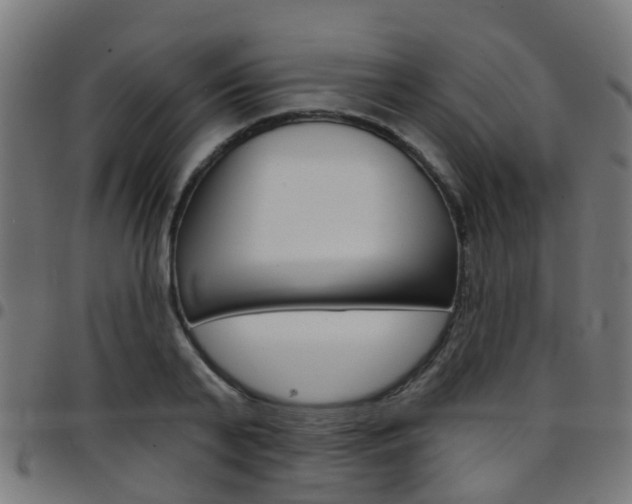 X0000097750791200803070841