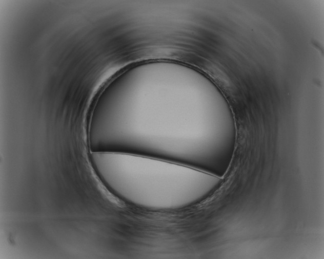 X0000097750792200803070841