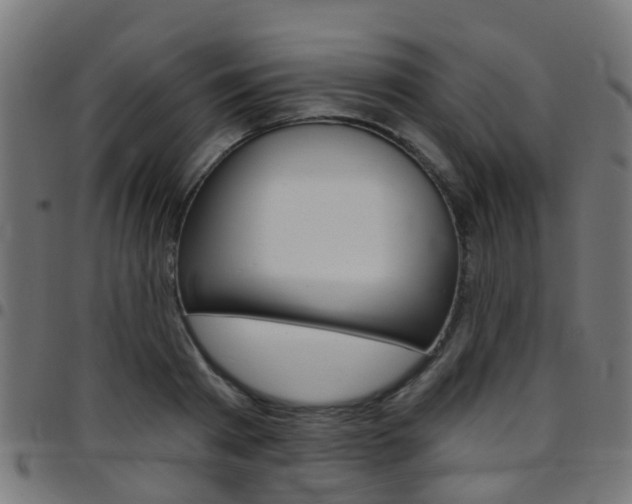 X0000097750793200803070841