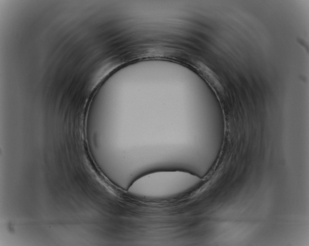 X0000097750794200803070841