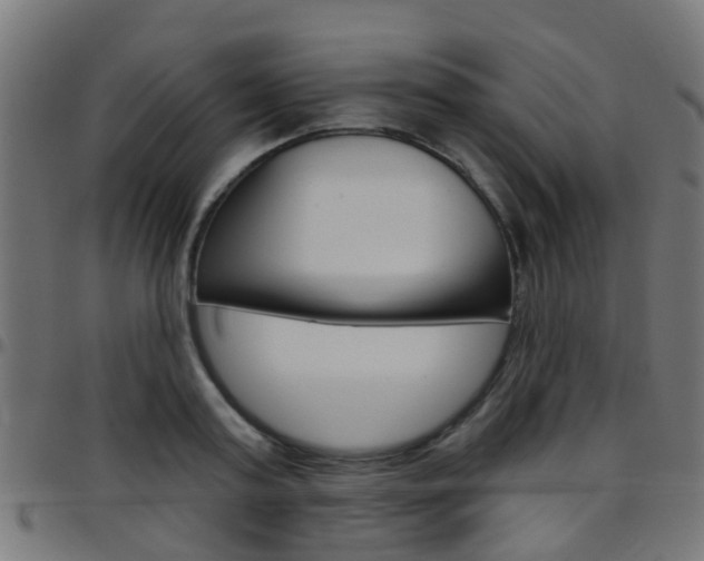 X0000097750795200803070841