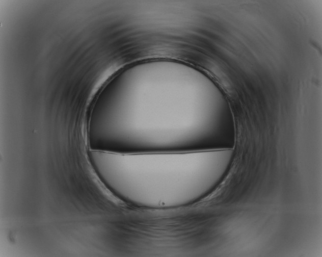 X0000097750796200803070841