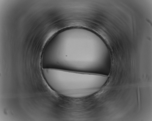X0000097750799200803070841