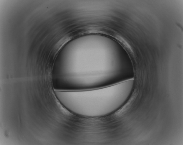 X0000097750801200803070841