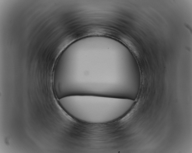 X0000097750802200803070841