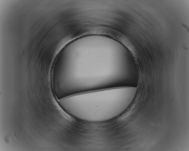 X0000097750803200803070841