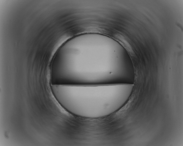 X0000097750804200803070841