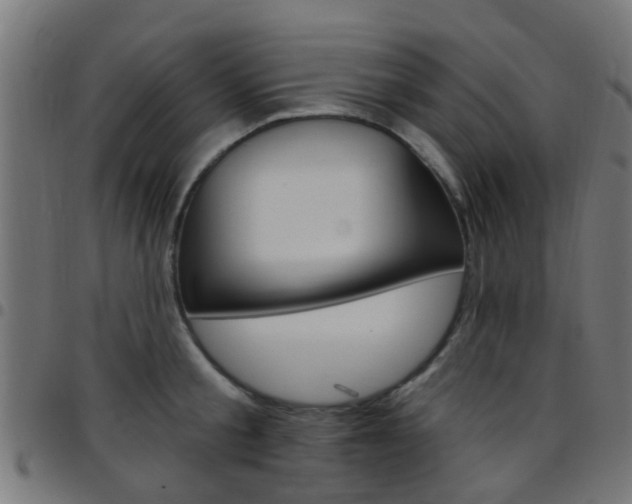 X0000097750805200803070841