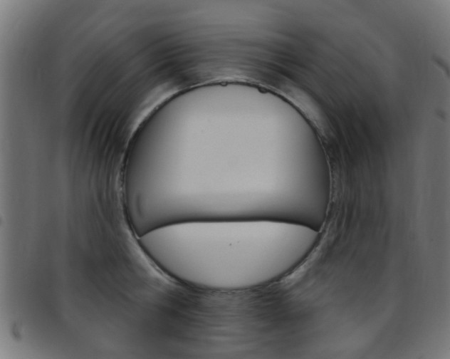 X0000097750806200803070841