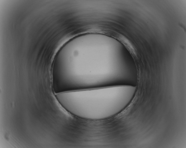 X0000097750808200803070841
