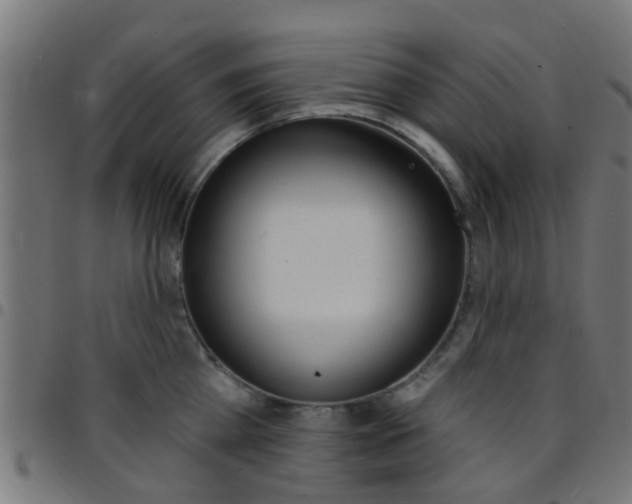 X0000097750809200803070841