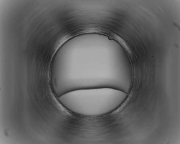 X0000097750810200803070840
