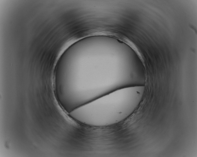 X0000097750811200803070840