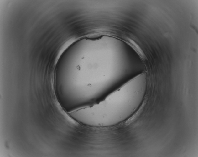 X0000097750812200803070840