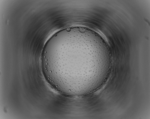 X0000097750814200803070840