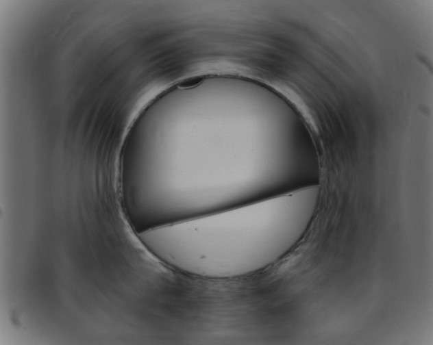 X0000097750815200803070840