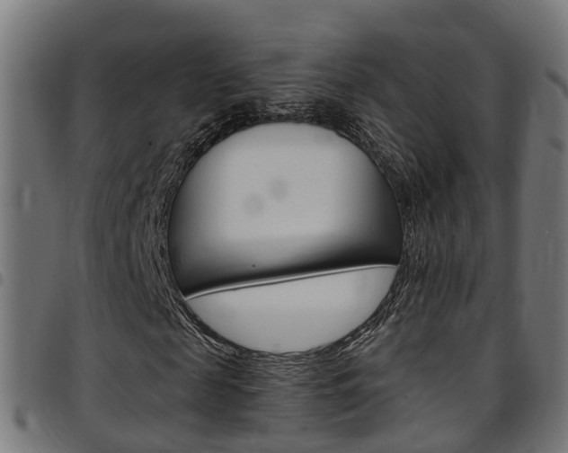 X0000097750817200803070840