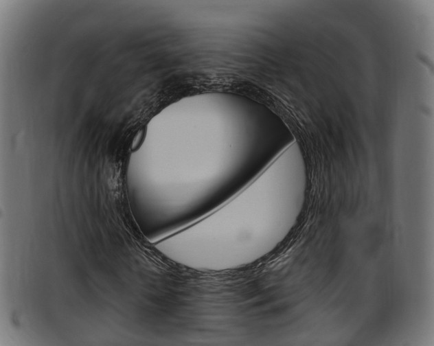 X0000097750818200803070840