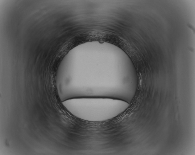 X0000097750819200803070840