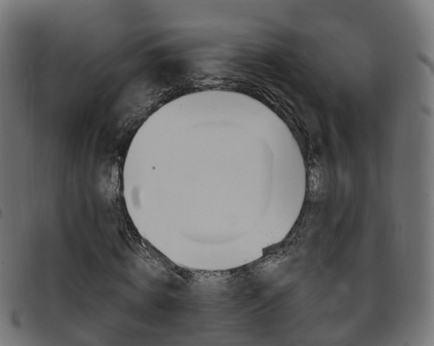 X0000097750820200803070840