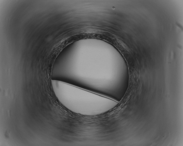 X0000097750821200803070840
