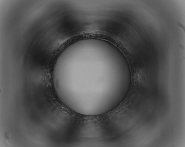 X0000097750822200803070840