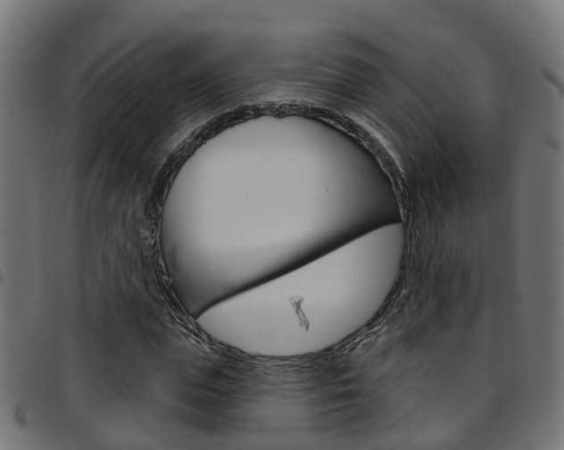 X0000097750823200803070840