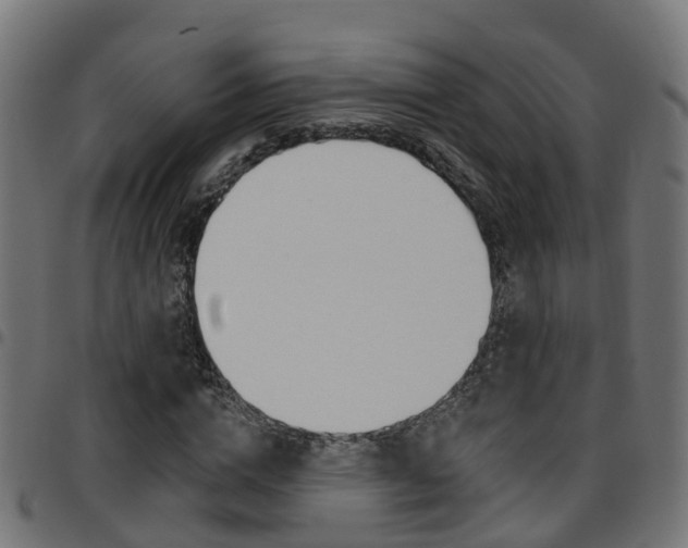 X0000097750824200803070840