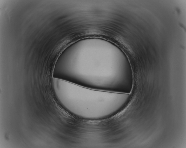 X0000097750825200803070840