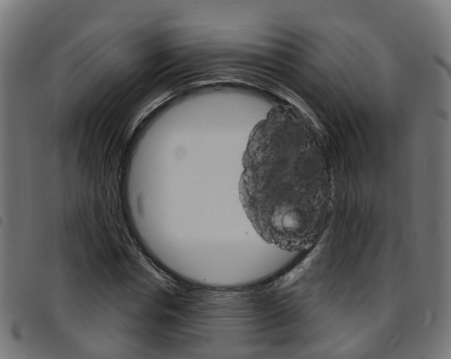 X0000097750826200803070840
