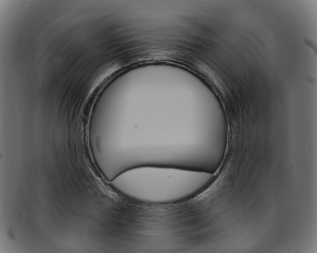 X0000097750827200803070840