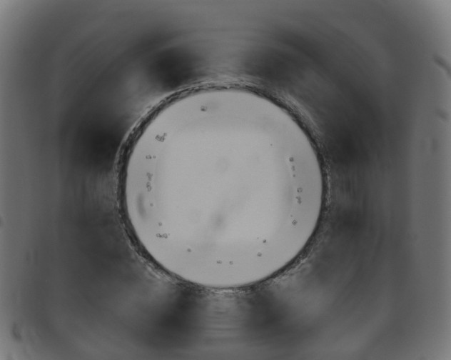 X0000097750828200803070840