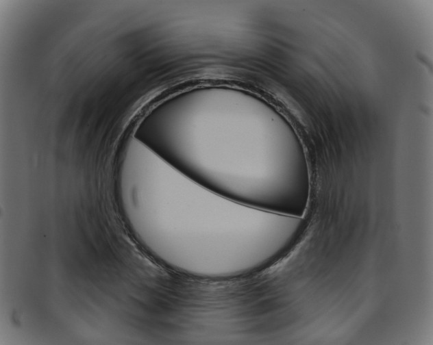 X0000097750829200803070840